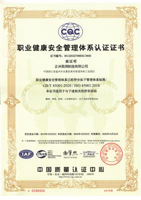 職業(yè)健康安全管理體系認(rèn)證證書(shū)